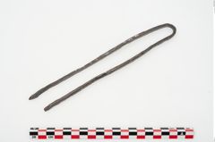 Foto von Eisenklammer (NHMW-PRAE-025089a)